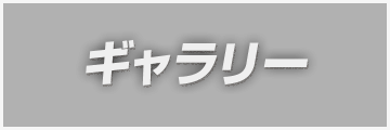 ギャラリー