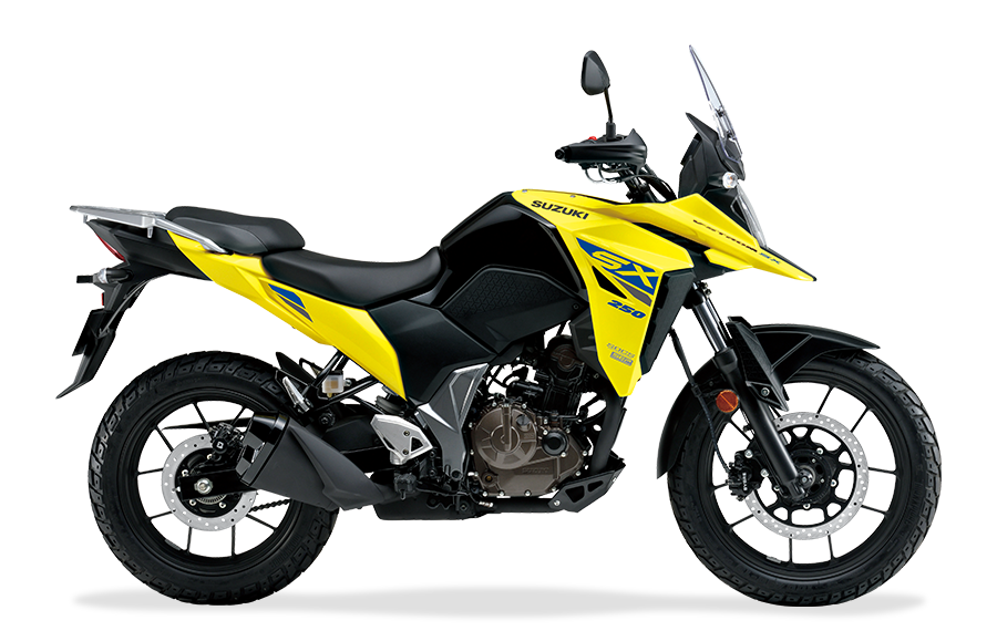 productmaincolor_ds250rlm3